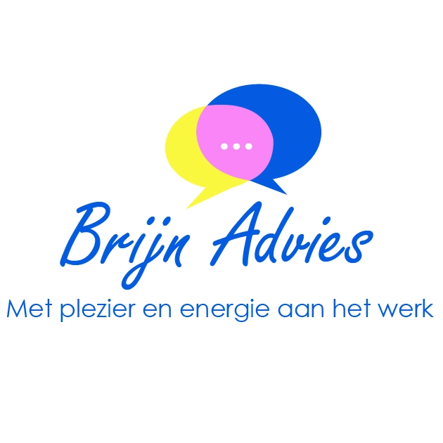 Logo laten maken logo Brijn Advies