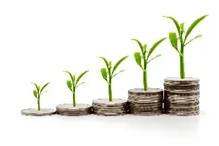 Geld groeit geld groeit